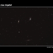 The Leo triplet