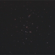 M44 - Jesliky