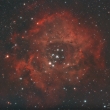 Mlhovina Rosette