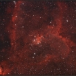 Nlhovina Srdce, DF, FF