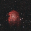 NGC 2174 - Opi hlava (ISO1600, 31x10 minut, DF+FF+Bias)